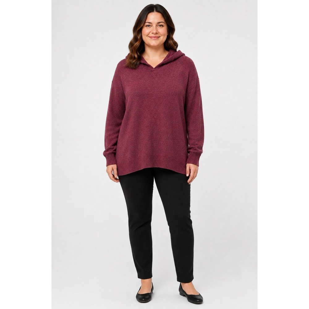 Style & Co Women's 2X Burgundy Hooded Pullover Sweater Soft Cozy Plus Size